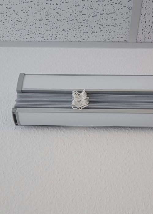 IMG_5055